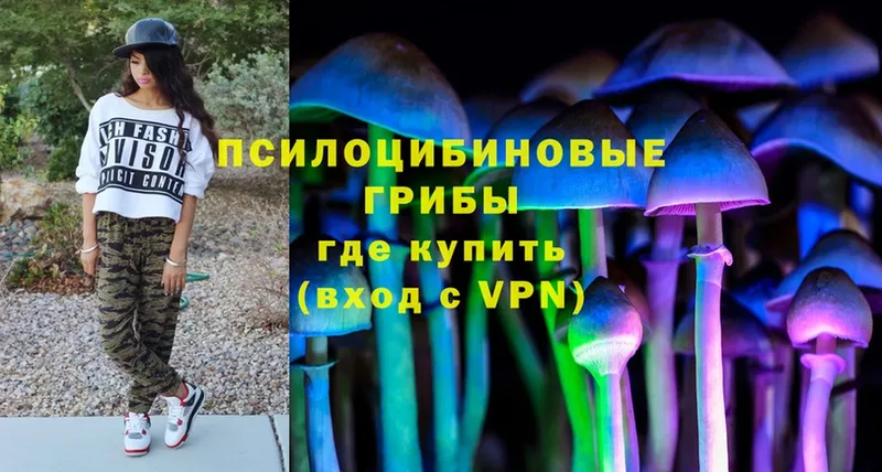 хочу   Балтийск  Псилоцибиновые грибы Magic Shrooms 